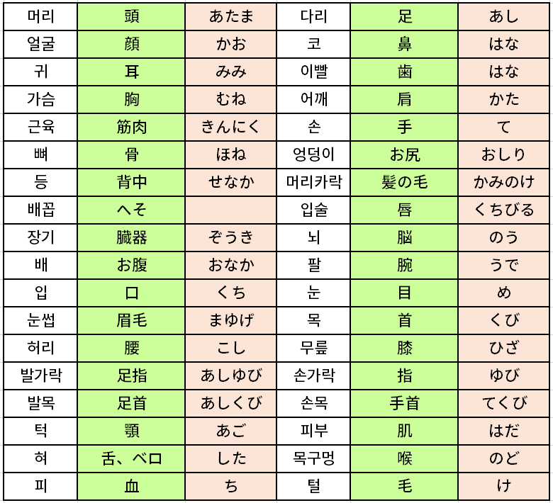 일본어 「신체관련 단어」 완벽 정리 / Jlpt에서는볼 수 없는 고급단어 : 네이버 블로그