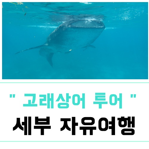  세부자유여행 오슬롭투어는 세자투어에서