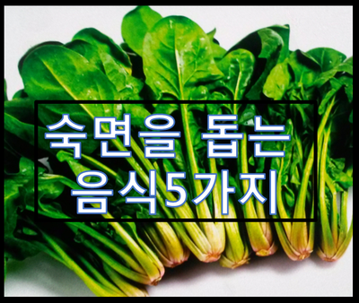  숙면에 도움되는 음식들 먹고 잠좀 푹자보자구요!