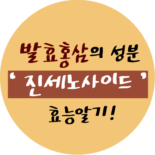  발효홍삼의 주성분  진세노사이드의 효능