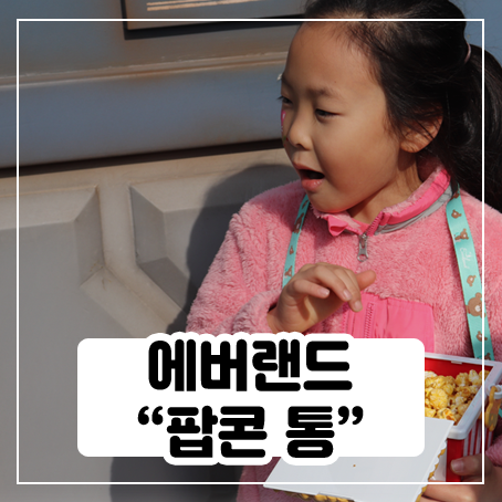 에버랜드 팝콘 통으로 사면 리필도 되는구나 에버랜드 팝콘 통으로 사면 리필도 되는구나