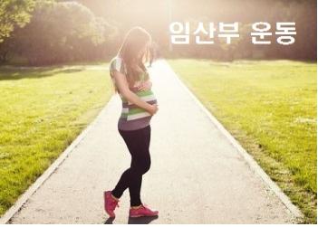  임산부 운동 가이드 및 효과 요약 설명