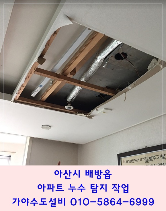  아산시 배방읍 휴먼시아8단지 연화마을 아랫층누수로인한 배관누수탐지 아파트누수탐지전문
