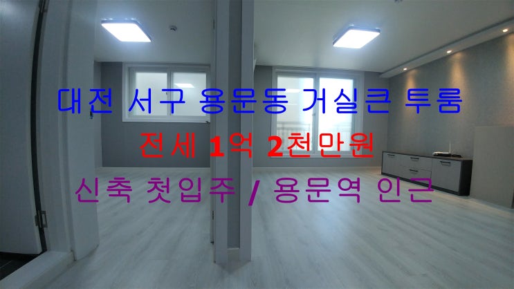  대전 서구 용문동 신축 첫입주 ! 용문역, 남선공원 인근에 있는 거실큰 투룸 ^^ 역세권 투룸 전세 매물입니다 .
