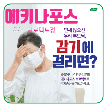  감기에 잘 걸린다면 - 에키나포스 프로텍트정