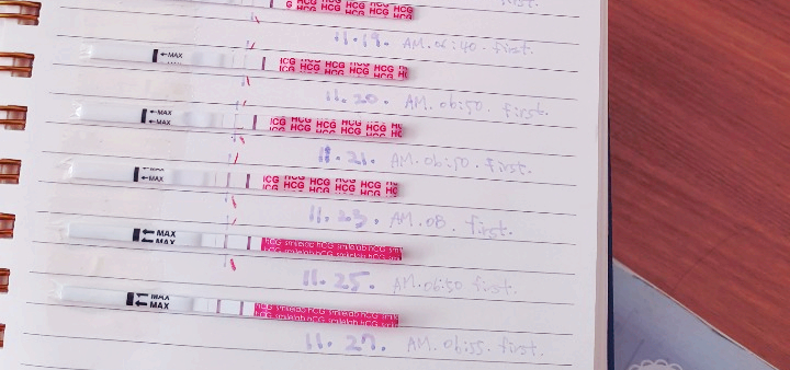 임테기 두 줄 확인 후 첫 병원 방문 임테기 두 줄 확인 후 첫 병원 방문