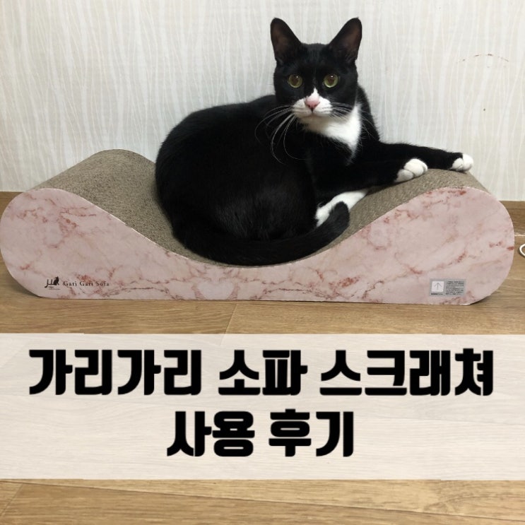  올만에 냥님들 스크래쳐 새거 사줬어요. 가리가리 소파 평판형!