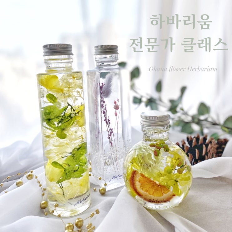  부산 하바리움  :: 하바리움 전문가 클래스 , 부산 플라워스튜디오 Ohana flower