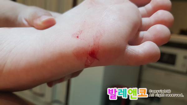  생후 48개월의 아들의 비범한 일상 (육아파파의 존버)