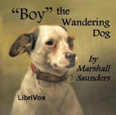 "Boy" the Wandering Dog: Adventures of a Fox-Terrier