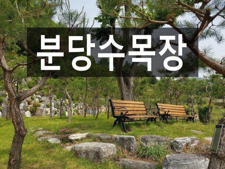  분당수목장 서울근교 교통편 좋은 그곳이 궁금해요!
