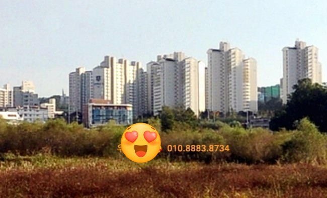  [ 화성땅매매 ] 도로확포장 물고있는 화성토지매매 - 봉담읍 왕림리땅 동탄신도시 배후지역 부동산투자