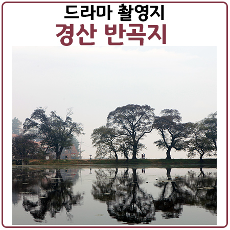 나의나라 촬영지 경산 반곡지의 가을모습 나의나라 촬영지 경산 반곡지의 가을모습