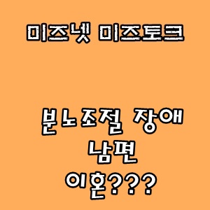  미즈넷 미즈토크 :: 분노조절 장애 남편 이혼??