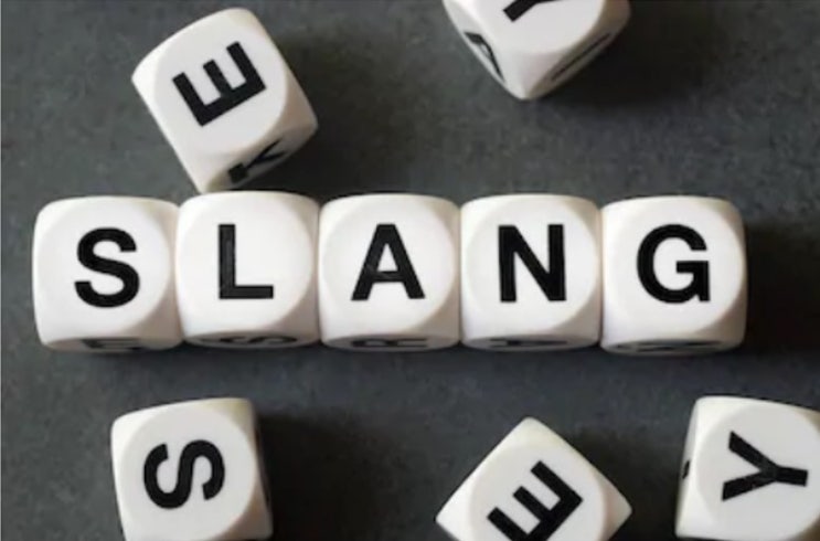  영어회화학습 필수! Slang(속어)사전 사이트 추천