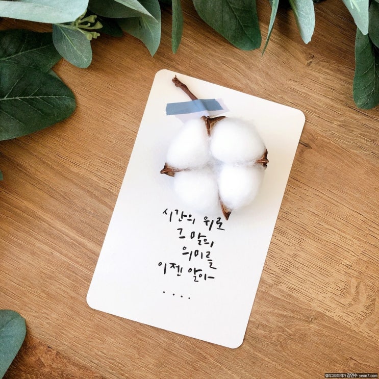  [캘리그라피 TIP2] 다이소 붓펜으로 캘리그라피 엽서 만들기, 국산 붓펜 _ 캘리그라피작가, 강사 김연수