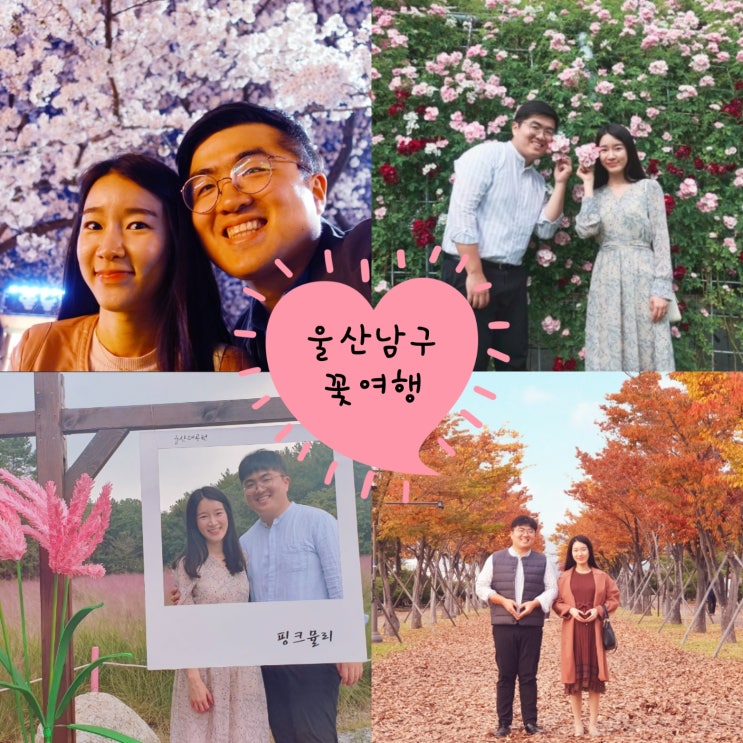 「2019 울산 남구 블로그 공모전」 "울산 남구 꽃 여행" 「2019 울산 남구 블로그 공모전」 "울산 남구 꽃 여행"
