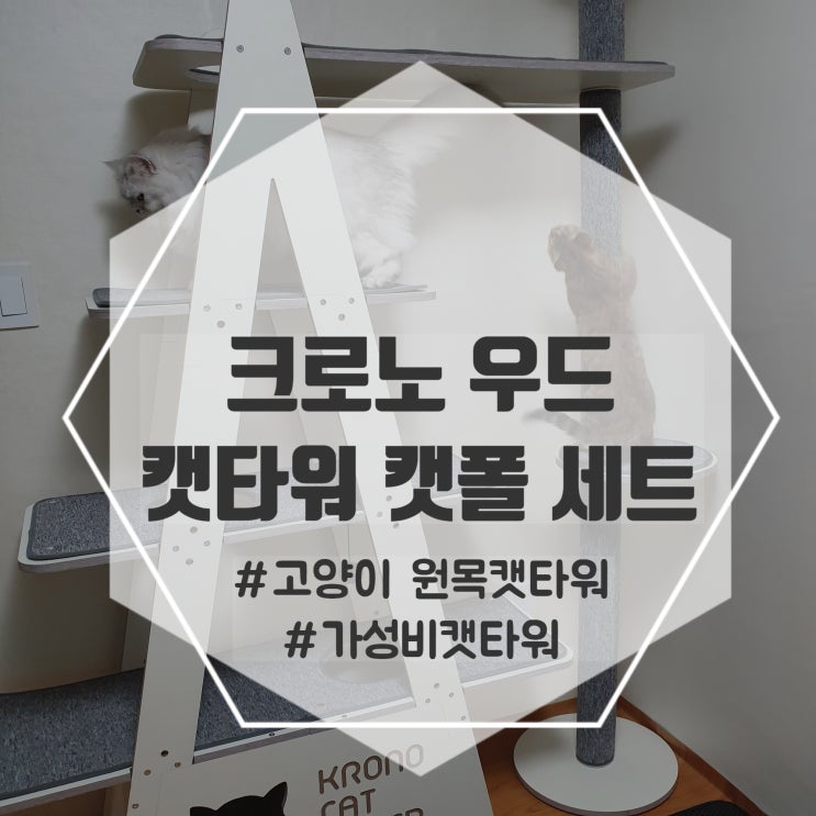  고양이 원목 캣타워 캣폴 크로노 타워, 깔끔한 디자인이 돋보이는 가성비 캣타워