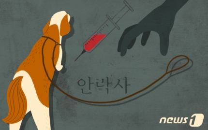 "안락사 해드립니다"… 반려동물 장례업체 안락사 광고 괜찮나 "안락사 해드립니다"… 반려동물 장례업체 안락사 광고 괜찮나