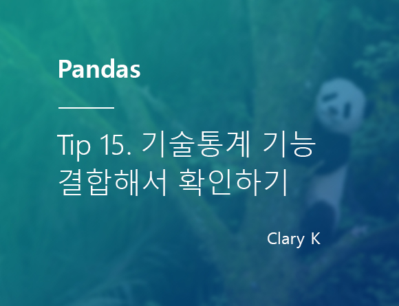 [파이썬] 판다스(pandas) 팁15. 기술통계 기능 결합해서 확인하기