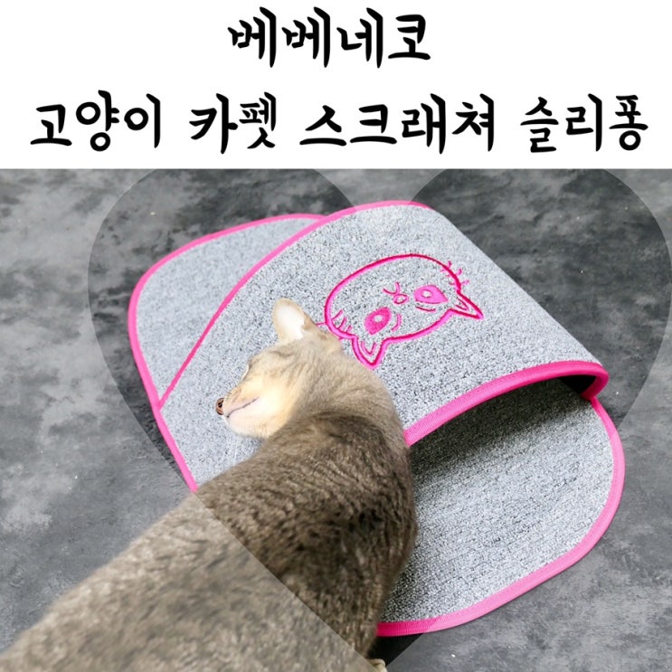  베베네코 애견쇼핑몰/애묘쇼핑몰 에서 '고양이 카펫 스크래쳐 슬리퐁' 겟!