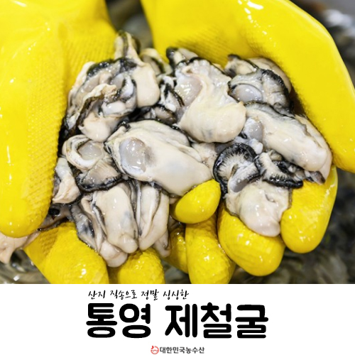  굴 제철 생굴 하프쉘 석화 다양하게 통영 산지직송으로 받으세요!