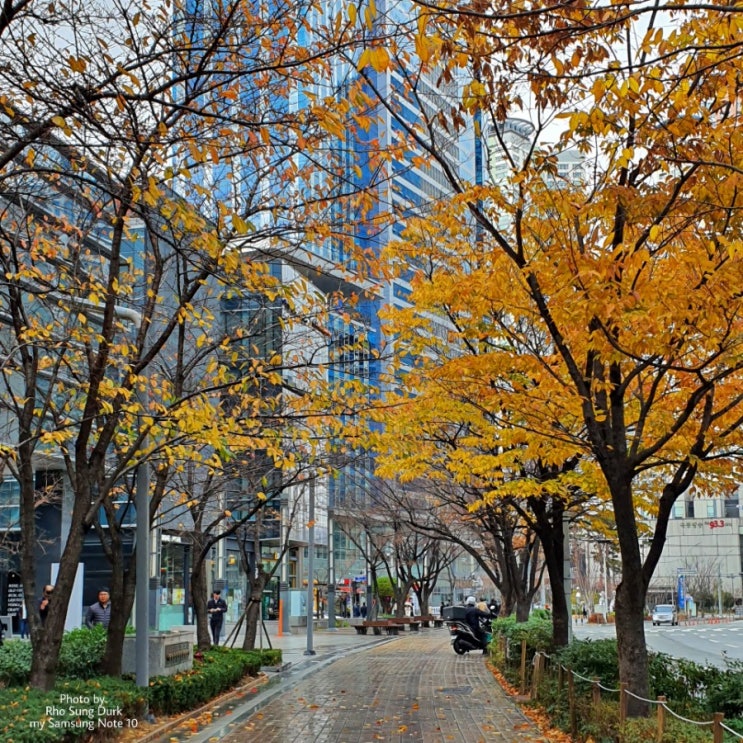  늦가을 정취 배달 마치고