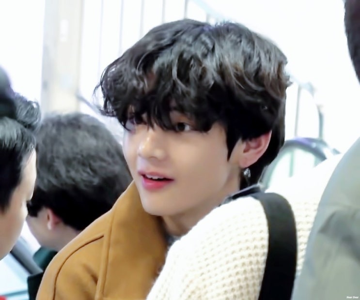  [BTS/방탄뷔] 멍뭉이와 남신 그 사이...
