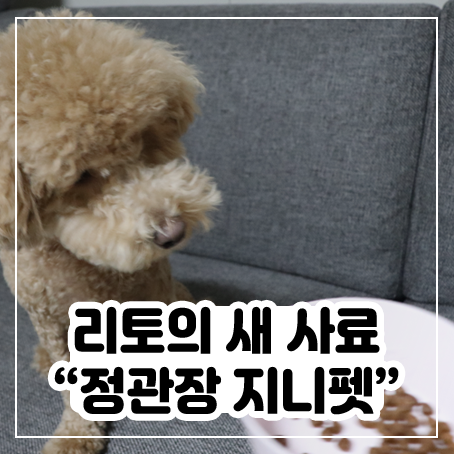 정관장 지니펫 - 애견 면역력도움주기 위한 유기농사료로 추천(나의 강아지사료순위 1등) 정관장 지니펫 - 애견 면역력도움주기 위한 유기농사료로 추천(나의 강아지사료순위 1등)