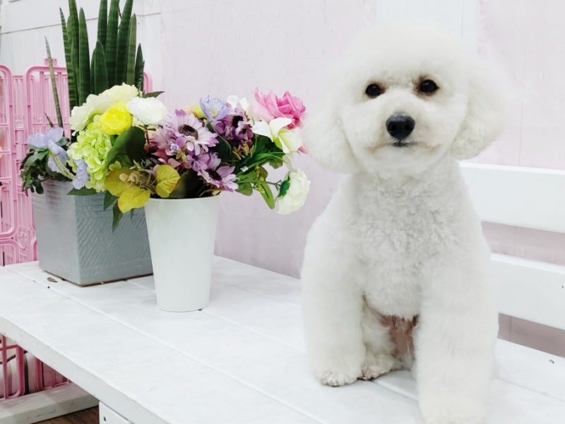 사진 6
