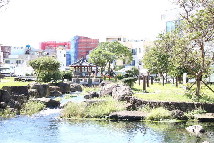 제주 원도심의 숨겨진 작은 공원~ 금산생태원과 제주물사랑홍보관!