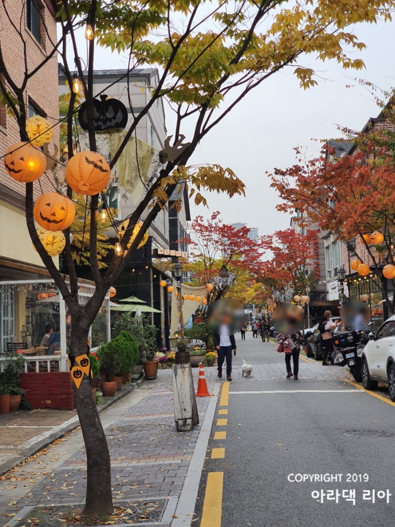 죽전 보정동 카페거리 탐방 - 카페 스튜디오63 : 네이버 블로그