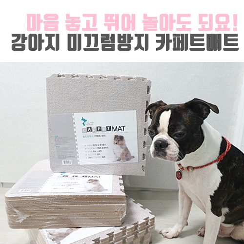  [보보일기/린도하우스] 마음 놓고 뛰어놀자 강아지 미끄럼방지 카페트매트 사용후기!