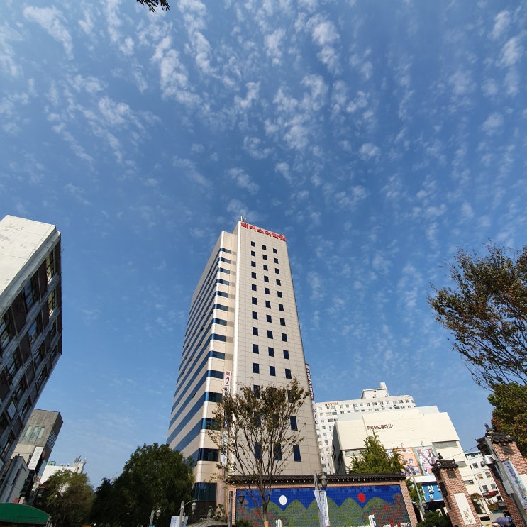  해커스 종로 토익스피킹 전승기T 후기: 토스 떠먹여줌