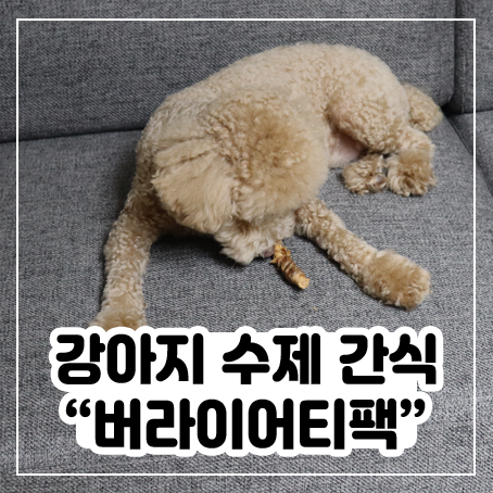 강아지 수제간식 추천, 버라이어티팩은 가짓 수가 많아서 맘에 든다 강아지 수제간식 추천, 버라이어티팩은 가짓 수가 많아서 맘에 든다