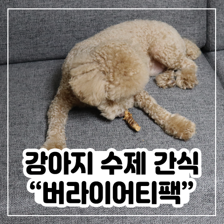 강아지 수제간식 추천, 버라이어티팩은 가짓 수가 많아서 맘에 든다