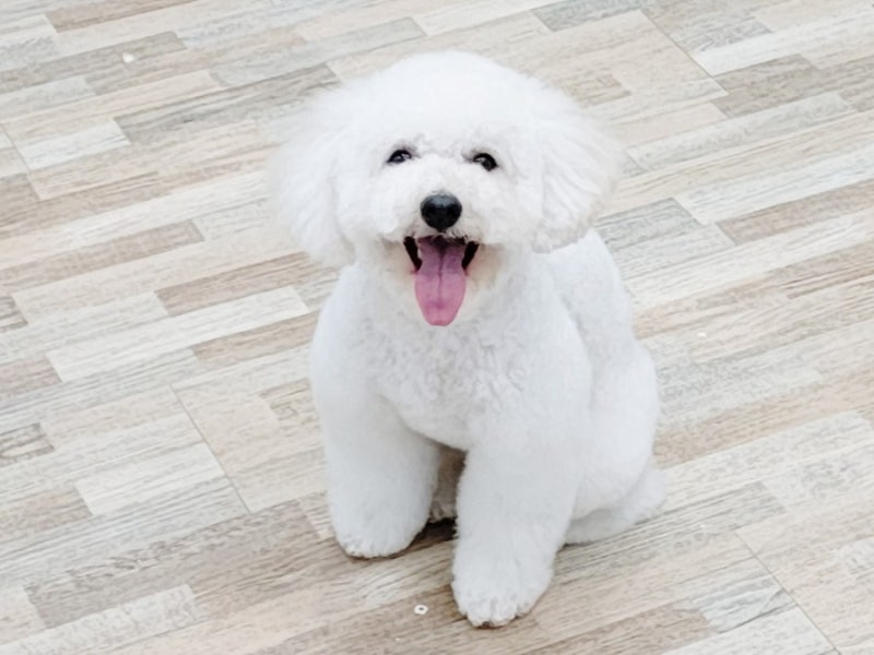사진 5