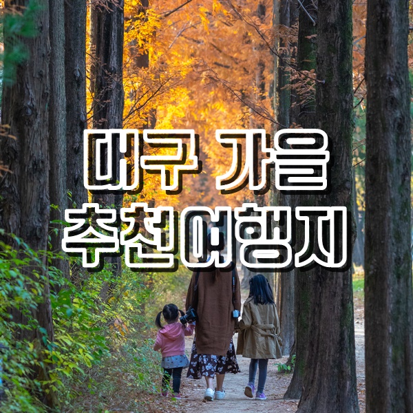  늦가을 대구 여행지 2곳 호산공원 메타세콰이어길과 달성습지 대명유수지