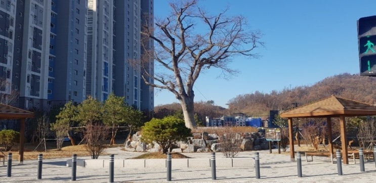  고양향동지구 향동지구상가 향동상가주택 향동상가 향동동상가 향동역 향동호반베르디움 앞 향동퍼스트타워 (2019년 11월 29일)