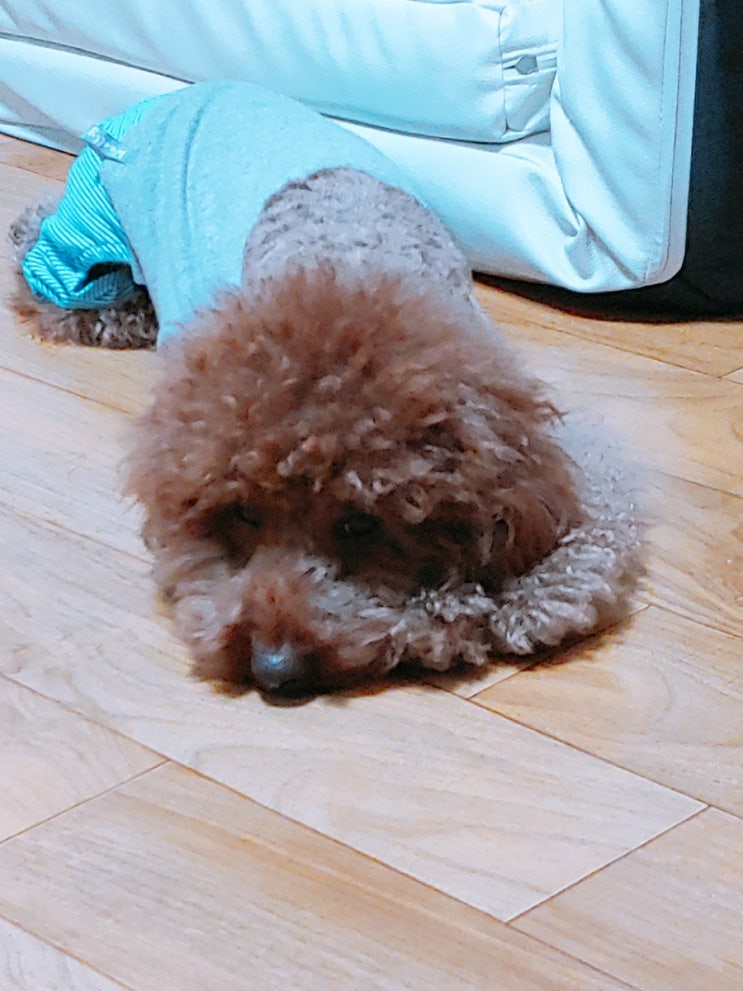  귀여워