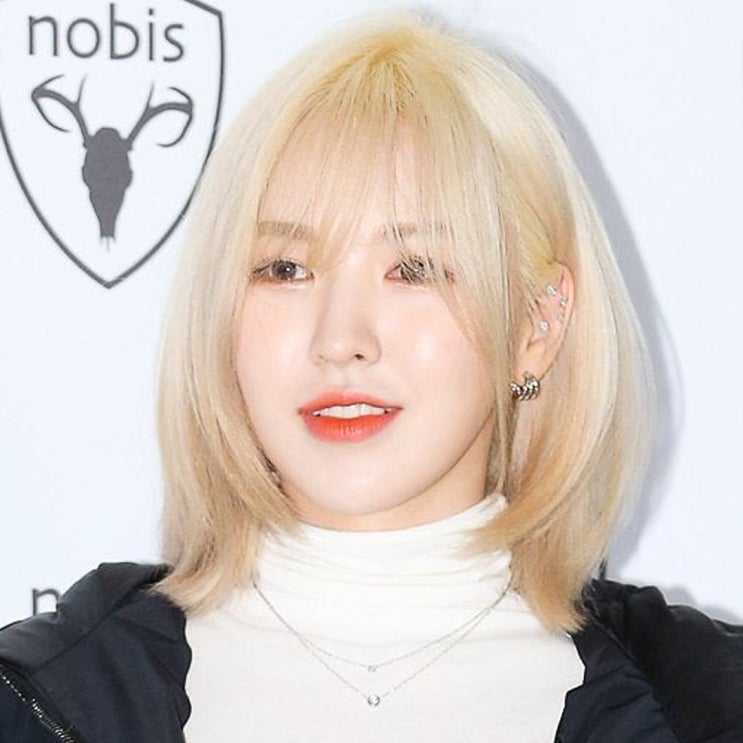 레드벨벳 웬디 브랜드 행사 금발 허쉬컷 헤어 스타일링 레드벨벳 웬디 브랜드 행사 금발 허쉬컷 헤어 스타일링