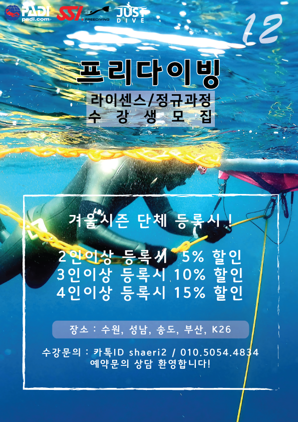  수원/성남/송도/K26 12월 프리다이빙 수강생 모집
