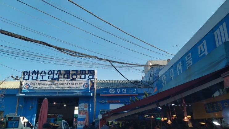  당일 기분전환에 최고! 경기도 소래포구!
