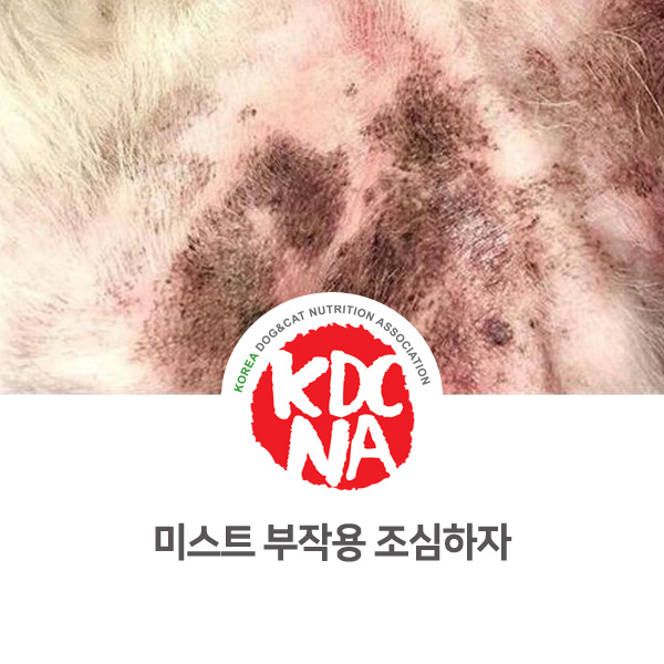  [반려동물 관리 정보] 강아지 고양이 미스트 부작용 주의하자_16
