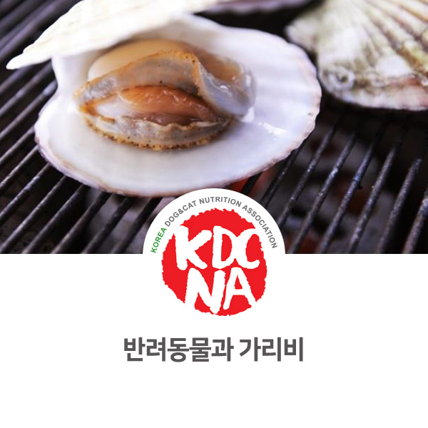  [강아지 고양이 영양 정보] 반려동물이 가리비를 먹어도 되나요?_124
