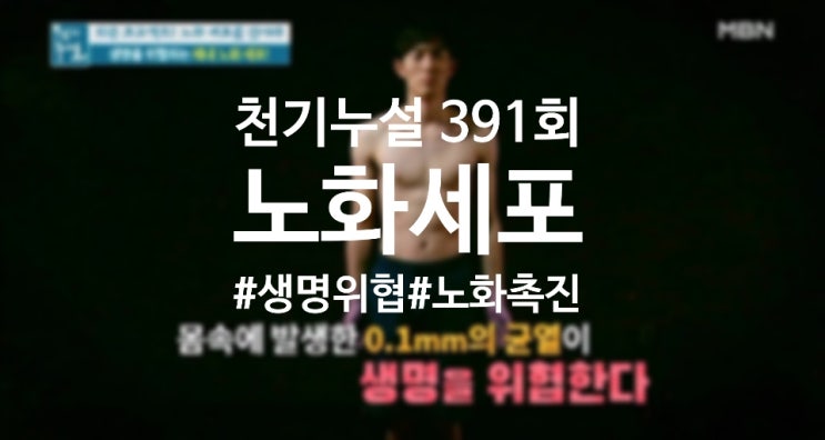  천기누설 391회/생명을 위협하는 체내 노화 세포/피부노화에 좋은 음식