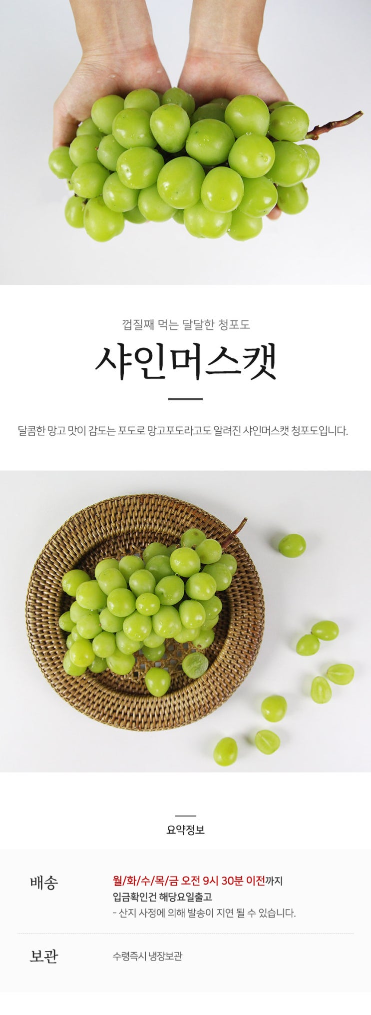  껍질째먹는포도 망고맛이 감도는 샤인머스켓 포도