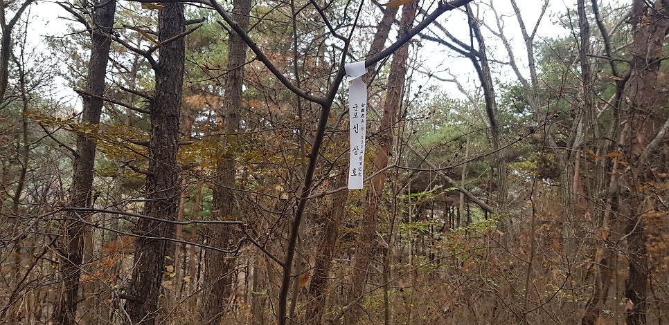 황새바위산 사진 6
