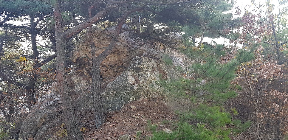 황새바위산 사진 5