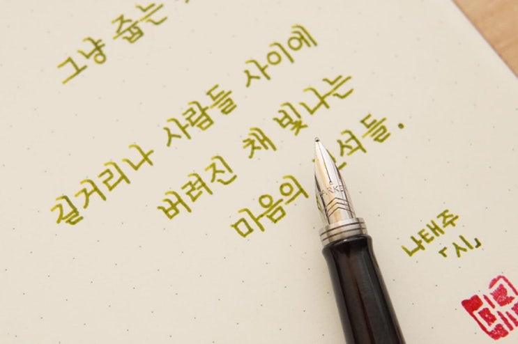  수집욕 (파커 조터 f닙)